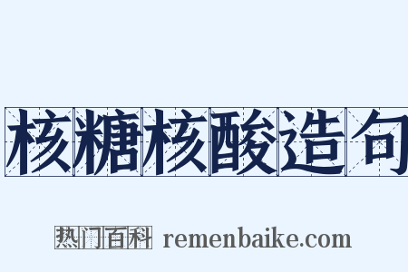 核糖核酸造句是什么意思的图片